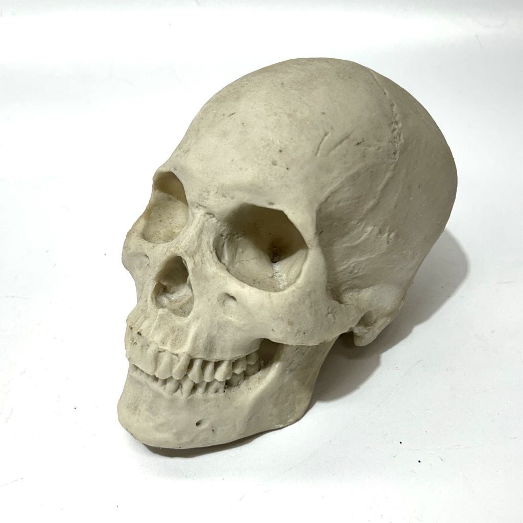 SKULL, Ceramic